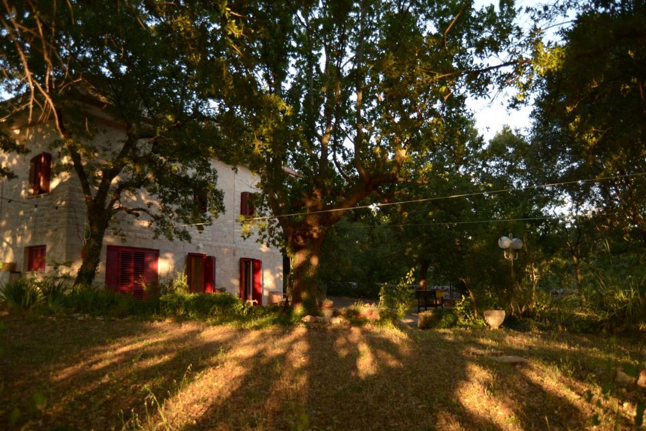Par Tot Guest House Locorotondo Eksteriør bilde