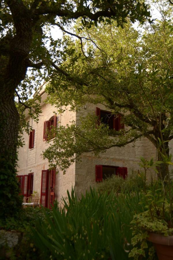 Par Tot Guest House Locorotondo Eksteriør bilde